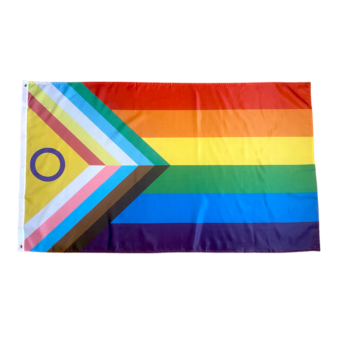 Disability Inclusive Progress Pride Flagge (90x150 cm)