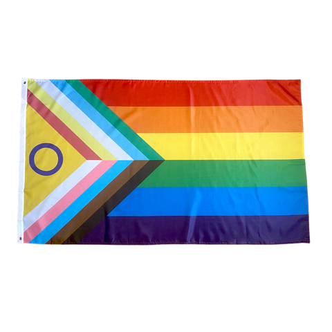 Disability Inclusive Progress Pride Flagge (90x150 cm)