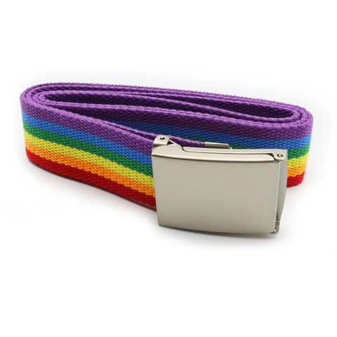 Pride Gürtel (Diversity)