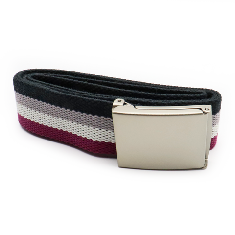 Pride Gürtel (Diversity)