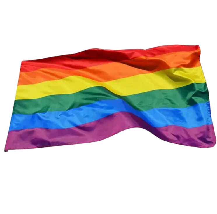 LGBT Pride Flagge (90x150 cm)