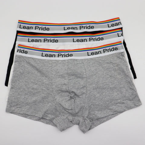 Pride Boxershorts (3er Pack) - Decent Edition