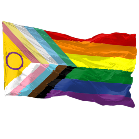 Disability Inclusive Progress Pride Flagge (90x150 cm)