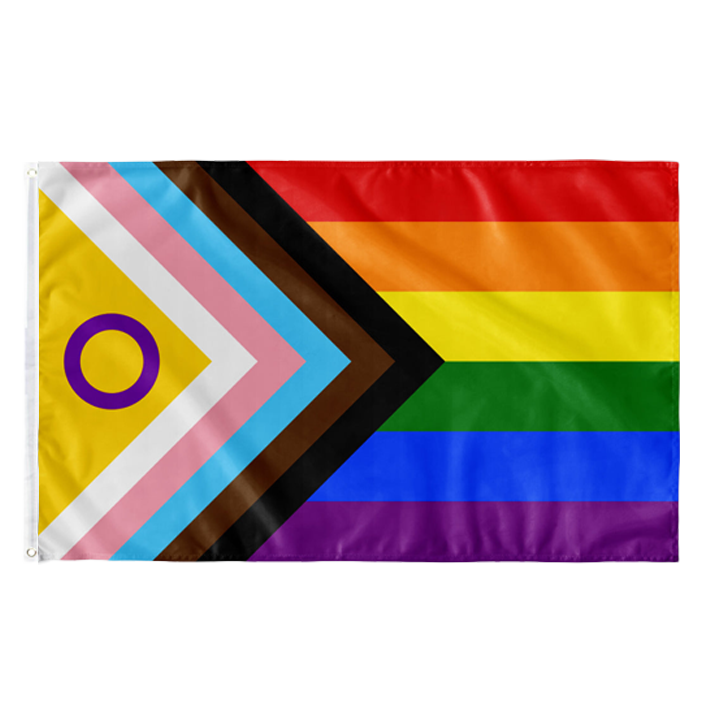 Progress Pride Flagge (NEW) | (90x150 cm)