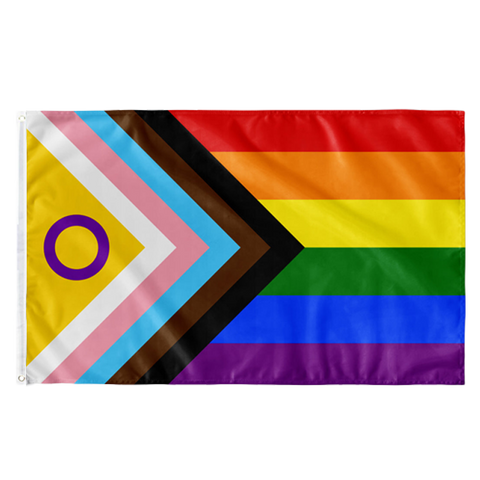 Progress Pride Flagge (NEW) | (90x150 cm)